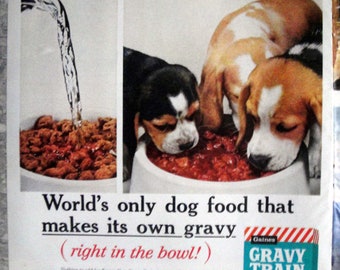 1961 Beagle Puppies Gravy Train Dog Food Original 13.5 * 10.5 Magazine Ad