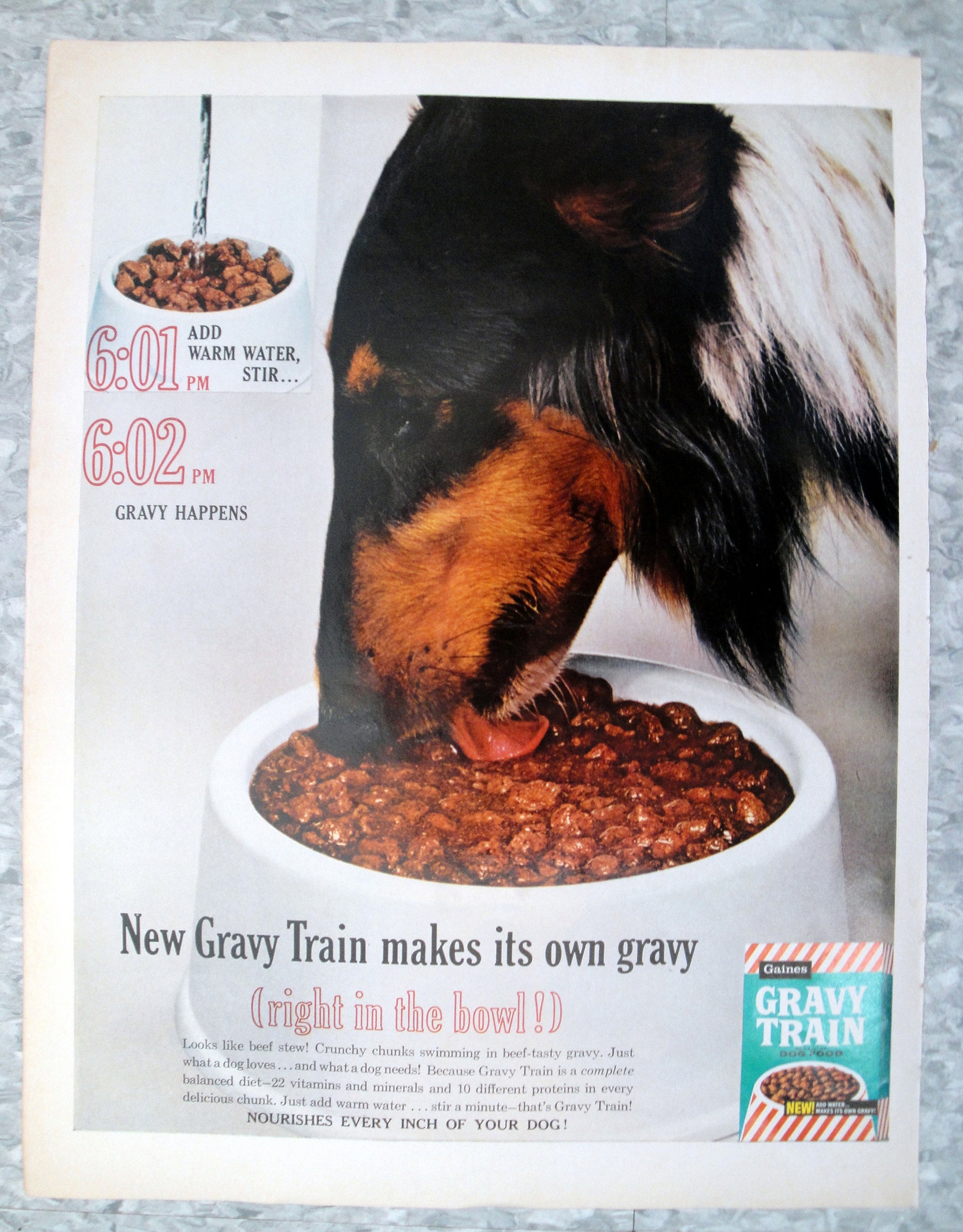 1962 Collie Gravy Train Dog Food Add Water Original 13.5 Etsy