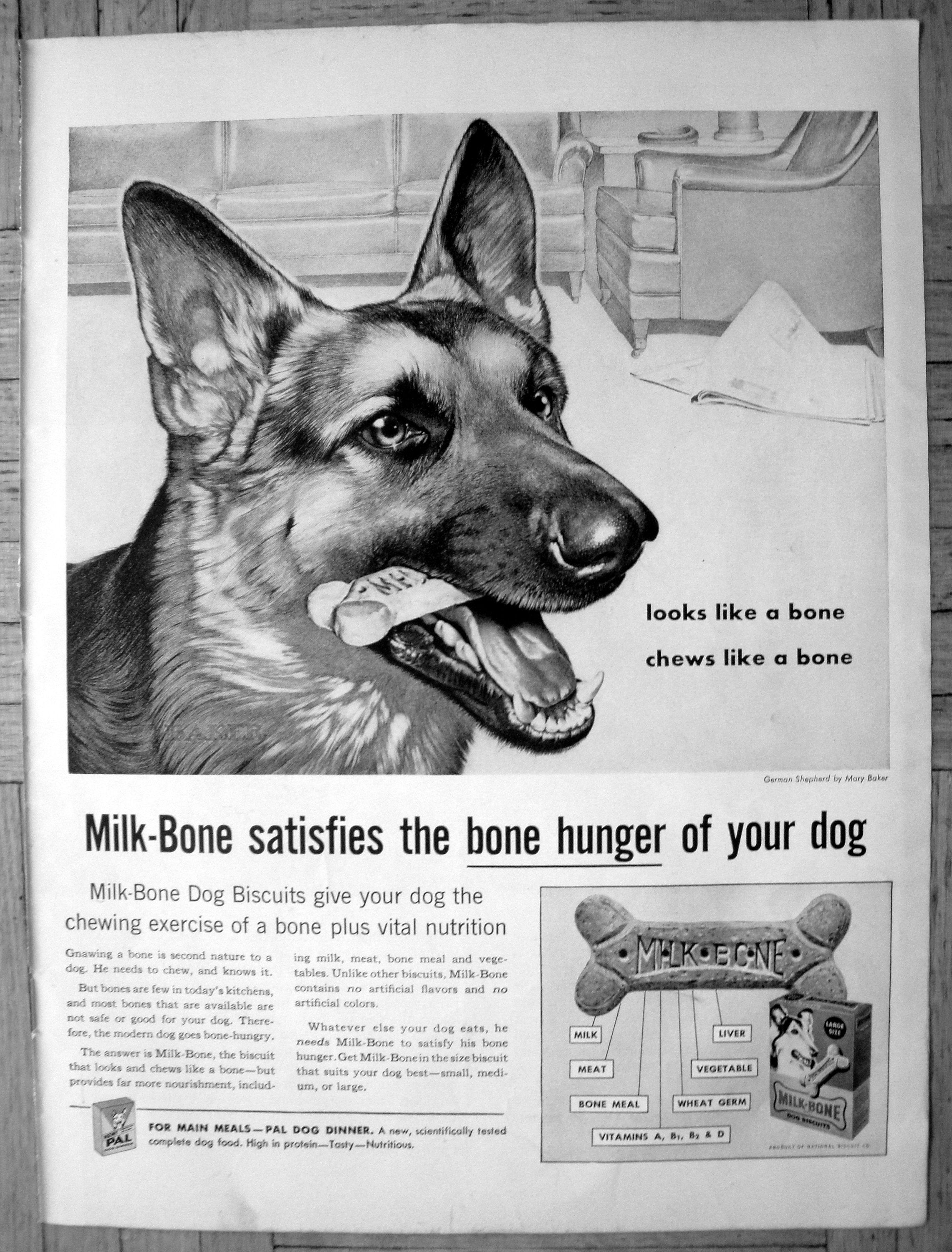 Is milk bad for german shepherds sales