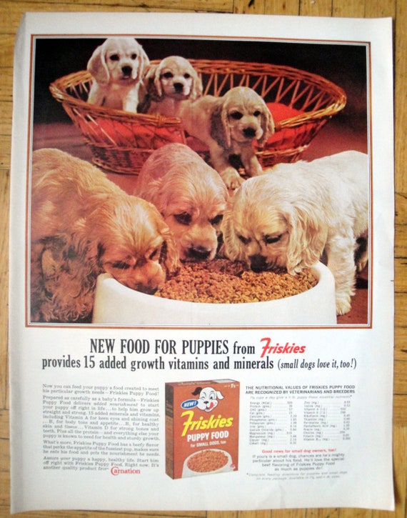 1963 Cocker Spaniel Puppies Friskies Dog Food original 13.5 10.5 Magazine Ad Etsy