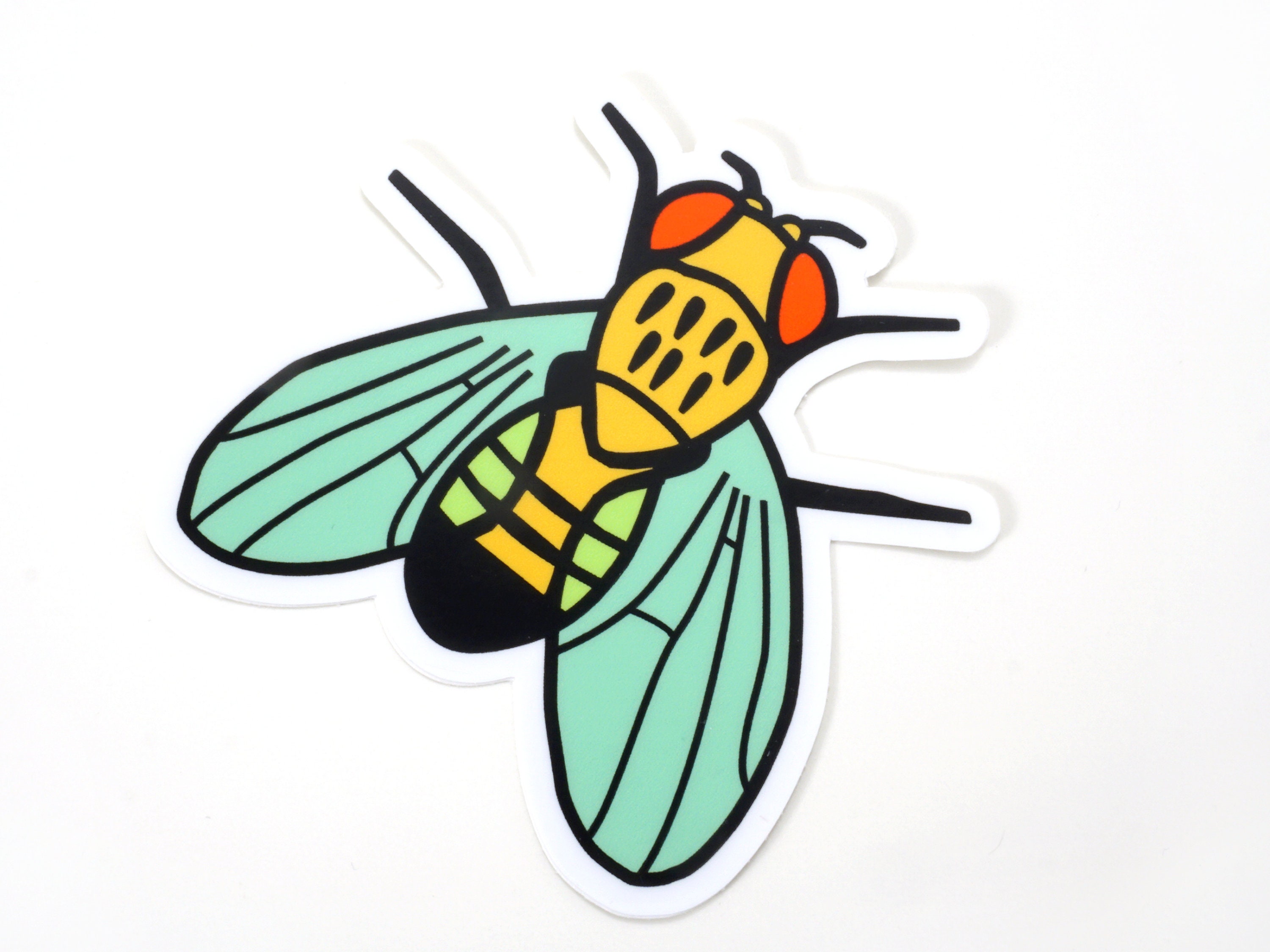 Fruit Fly Vinyl Sticker Wild Type Drosophila Melanogaster - Etsy Fruit Fly Vinyl Sticker Wild Type Drosophila Melanogaster - Etsy