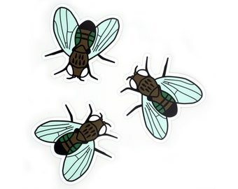 Fruit Fly Vinyl Sticker -- Ebony Drosophila melanogaster –Science Sticker | Biology Decal | Genetics | Gift for scientist or biologist