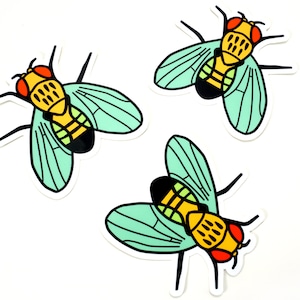Pegatina de vinilo para moscas de la fruta -- Tipo salvaje Drosophila melanogaster – Pegatina científica / Calcomanía de biología / Genética / Regalo para científico o biólogo