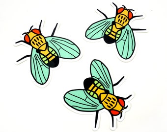 Fruit Fly Vinyl Sticker -- Wild Type Drosophila melanogaster –Science Sticker | Biology Decal | Genetics | Gift for scientist or biologist