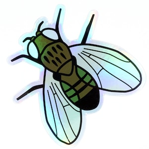 Fruit Fly Holo Sticker -- Ebony Drosophila melanogaster – Science Genetics Sticker | Biology Vinyl Decal | Gift for scientist or student