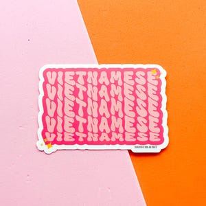 Vietnamese Vinyl Sticker, Vietnamese Phrase Sticker, Viet Laptop Water Bottle Sticker, Asian Sticker