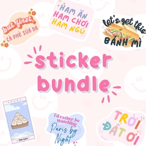 Sticker Bundle of 5, Asian Sticker Bundle, Vietnamese Vinyl Stickers, Asian Food Pun Stickers, Vietnamese Food Stationery
