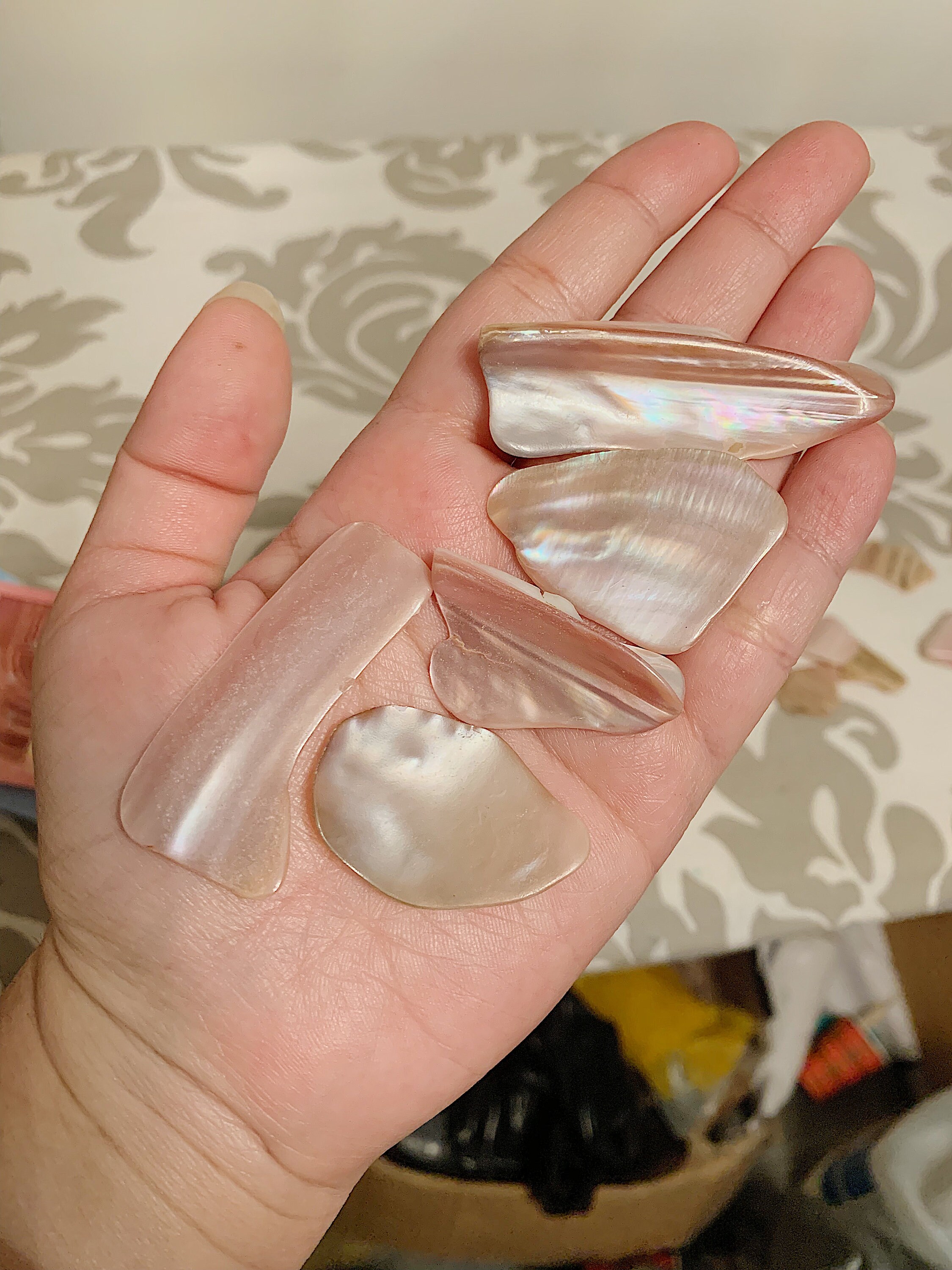 Croustilles Rose de Nacre | 1 Kg