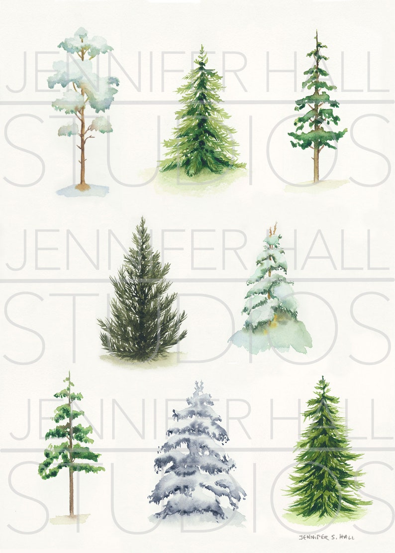 Winter Tree Sampler, Art Note Card, Watercolor, Blank Greeting Card ...
