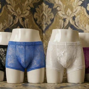 May include: Four pairs of underwear in black, blue, white, and purple, displayed on mannequin torsos. The underwear features lace detailing. The background is a patterned wallpaper with gold and blue tones.