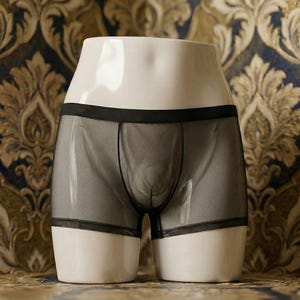 Può includere: Boxer trasparenti neri esposti su un manichino bianco. La biancheria intima ha un girovita e finiture neri. Lo sfondo presenta un motivo floreale oro e blu navy.