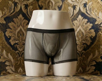 Men’s See Though Briefs Boxers Bulge Pounch Underwear Sissy Lingerie For Gay