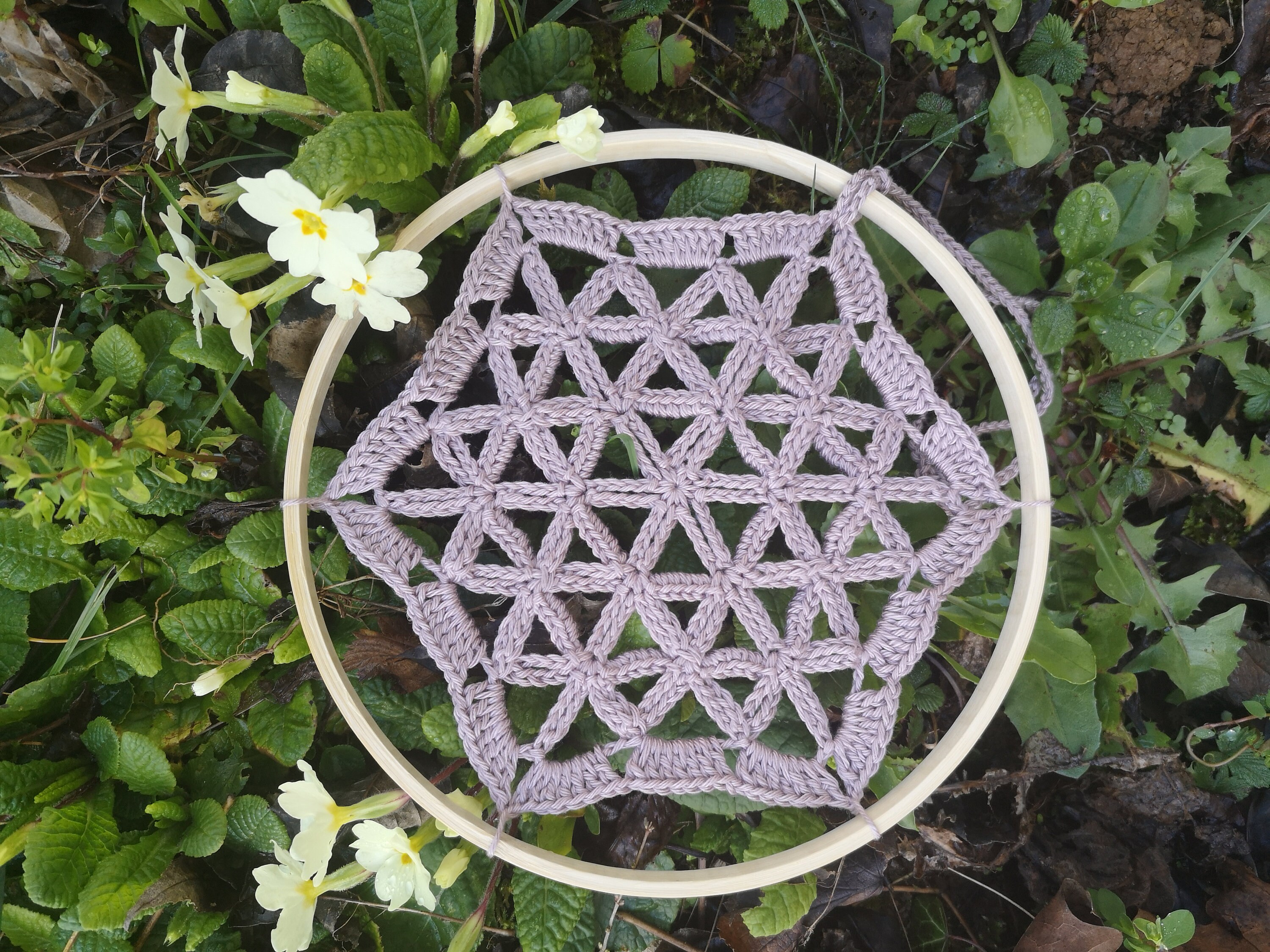 Fleur de Vie Au Crochet