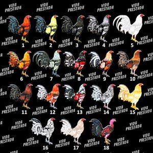 May include: A black background featuring eighteen numbered illustrations of roosters in various color patterns, including red, yellow, black, white, and grey. The text VIDA PRESTADA is repeated in white across the background, with each rooster numbered 1 through 18.