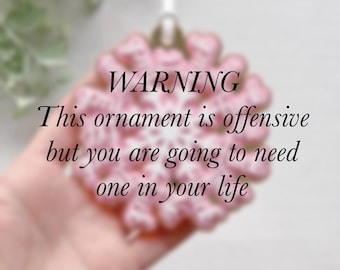 F*ck 2025 Ornament | F*ck Flake Christmas Tree Ornament | Rude Ornament |