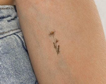 Kleines Aquarell Daisy temporäres Tattoo (3er Set)