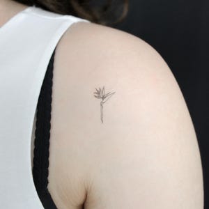 Peut inclure: Un petit tatouage délicat d'une fleur d'oiseau de paradis sur l'épaule d'une personne.