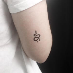 May include: A small, black snake tattoo on the inner arm. The tattoo is a simple, stylized design of a snake with a curved body and a small head. The skin is fair, and the background is a plain white shirt and a dark background.