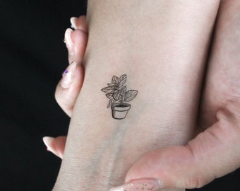 Jade Plant Temporary Tattoo (set of 3) - Etsy