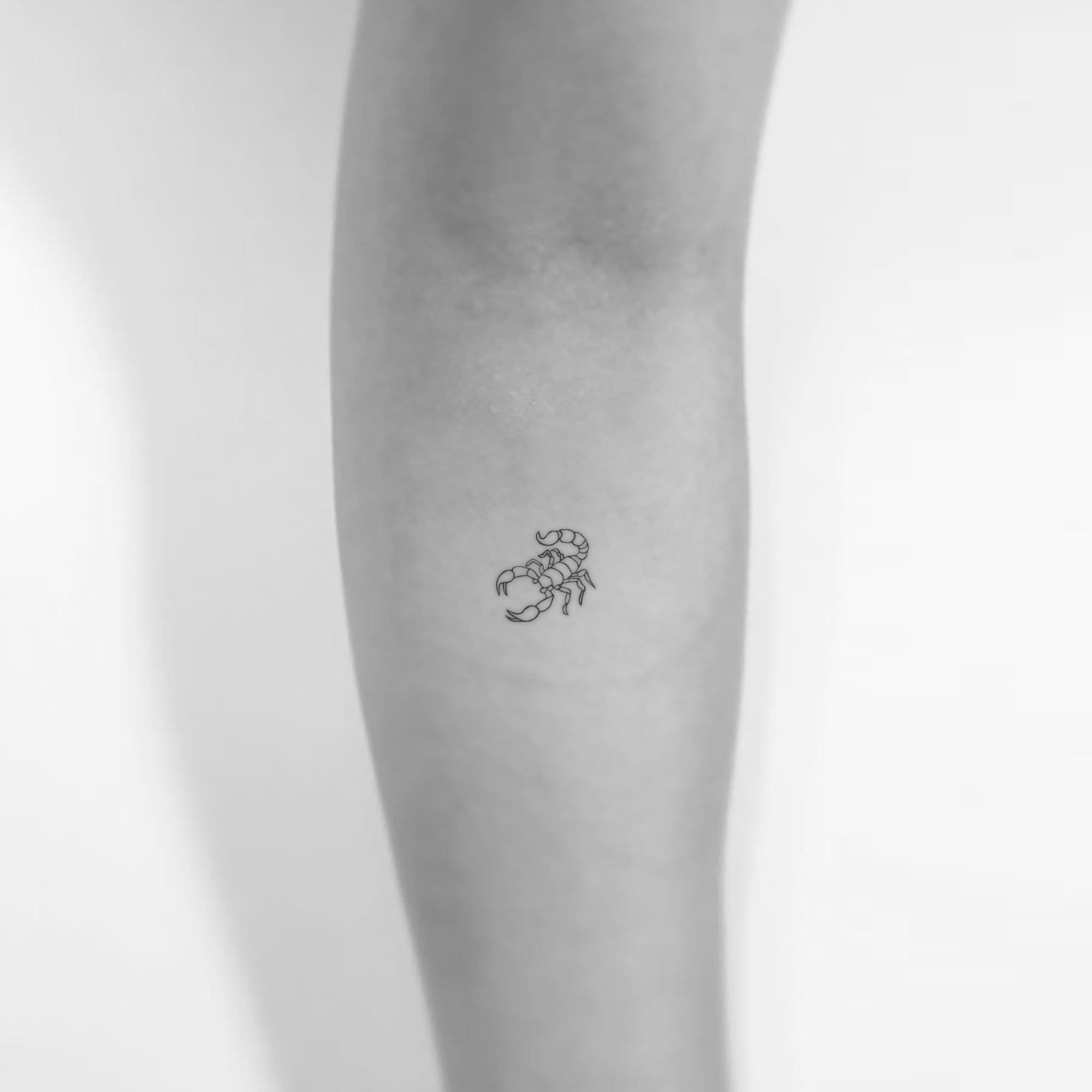 Tatouage Signe Astrologique Scorpion Femme Small scorpio tattoo - Etsy France