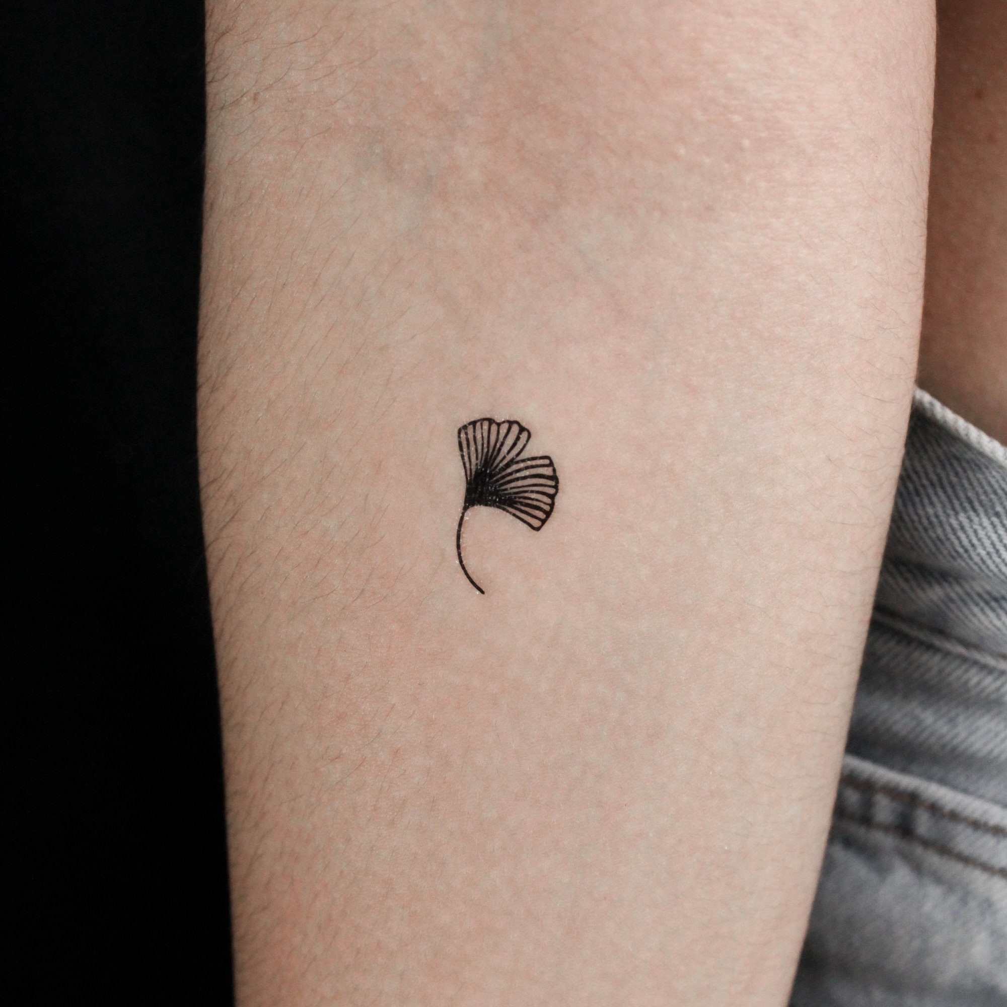 Tattoo uploaded by JenTheRipper • Stylish ginkgo tattoo by Chen Jie #ginkgo  #leaf #ChenJie • Tattoodo