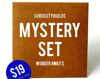 Mystery Set - 40 dollars worth of temporary tattoos for just 19!