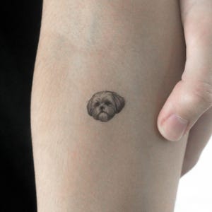 Fine Line Shih Tzu Portrait Temporary Tattoo (Set of 3)