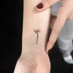 Small Watercolor Strelitzia Temporary Tattoo (Set of 3)