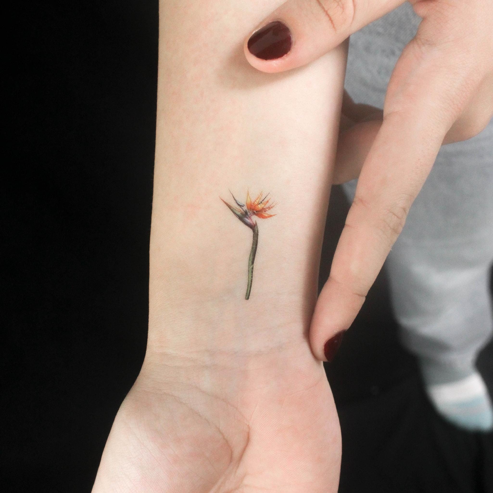 小さな水彩画ストレリチアのタトゥーシール（3枚セット） - Etsy 日本, image size:2050x2050