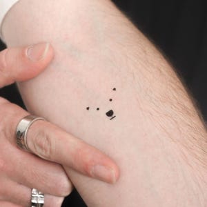 Tatuaggio temporaneo con volto di orso polare (set di 3)