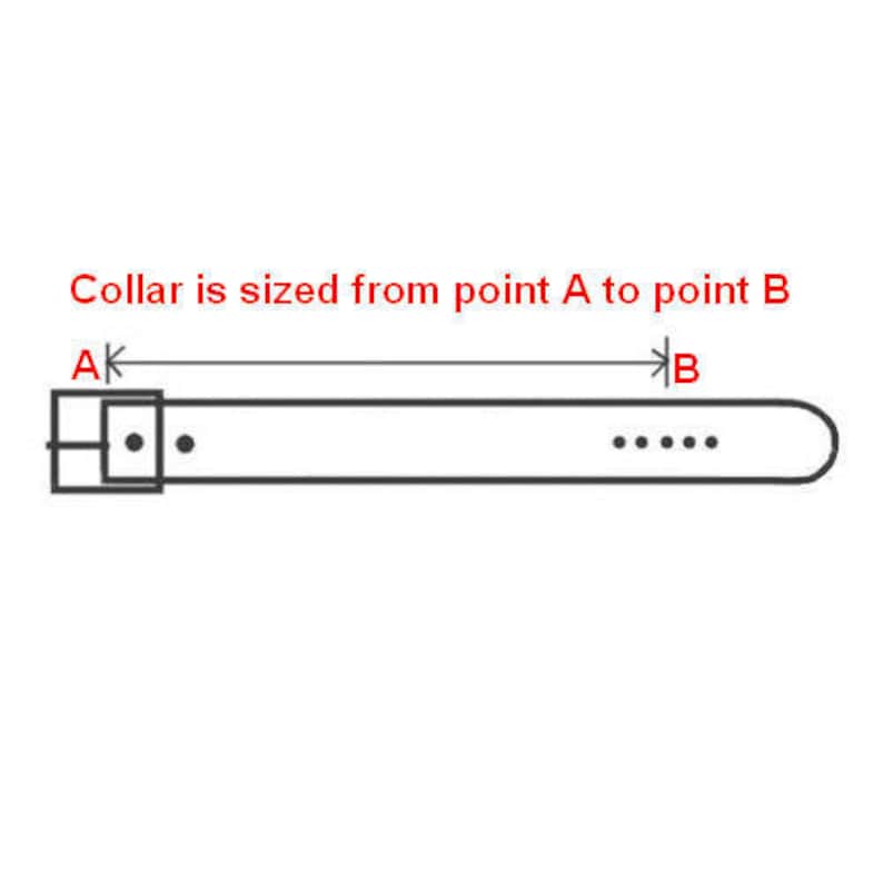 May include: Diagram showing how to measure a collar. The text reads "Collar is sized from point A to point B".  Point A is marked on the left side of the collar and point B is marked on the right side of the collar.