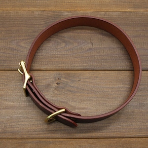 May include: A brown leather dog collar with a brass buckle and a brass hook.