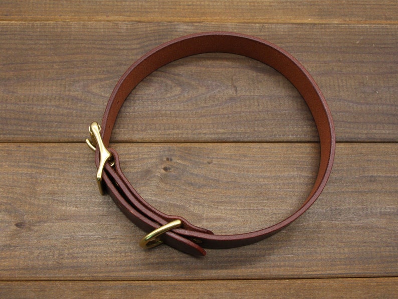 May include: A brown leather dog collar with a brass buckle and a brass hook.