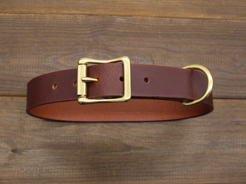 May include: A brown leather dog collar with a brass buckle and D-ring.