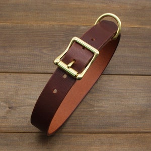 May include: A brown leather dog collar with a brass buckle and D-ring.