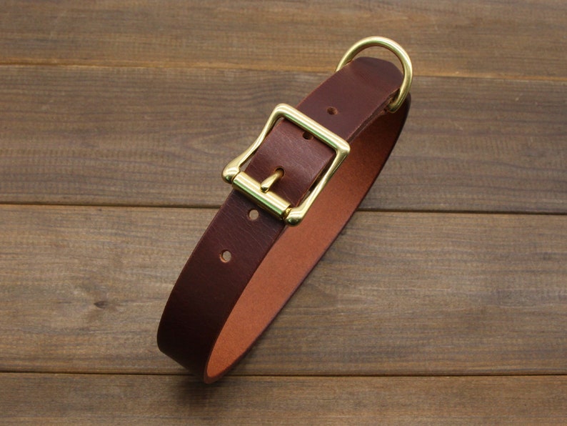 May include: A brown leather dog collar with a brass buckle and D-ring.