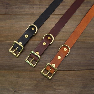 May include: Three leather dog collars with brass buckles. The collars are black, brown, and tan.