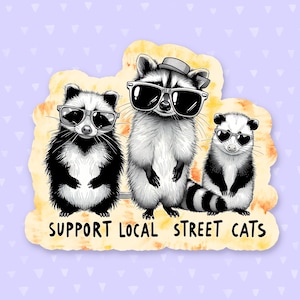 Support Local Street Cats Sticker, Funny Quote Sticker, Raccoon Sticker, Opossum Sticker, Meme Sticker, Funny Gift For Him, Stocking Stuffer
