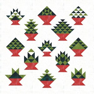 Sarah&#39;s Succulent Sampler Digital Pattern, Easy Quilt Pattern for Beginners