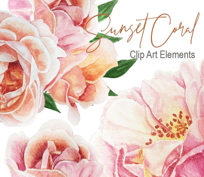 Download Watercolor Floral Clip Art Magnolia Flower Hand Painted Graphics For Wedding Invitation Flower Bouquet Planner Clipart Clip Art Art Collectibles Shantived Com