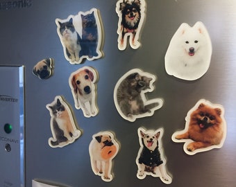 Custom Pet Photo Magnet | Personalized Dog Cat Acrylic Fridge Magnet | Pet Lover Gift [Any Images Are Welcome]
