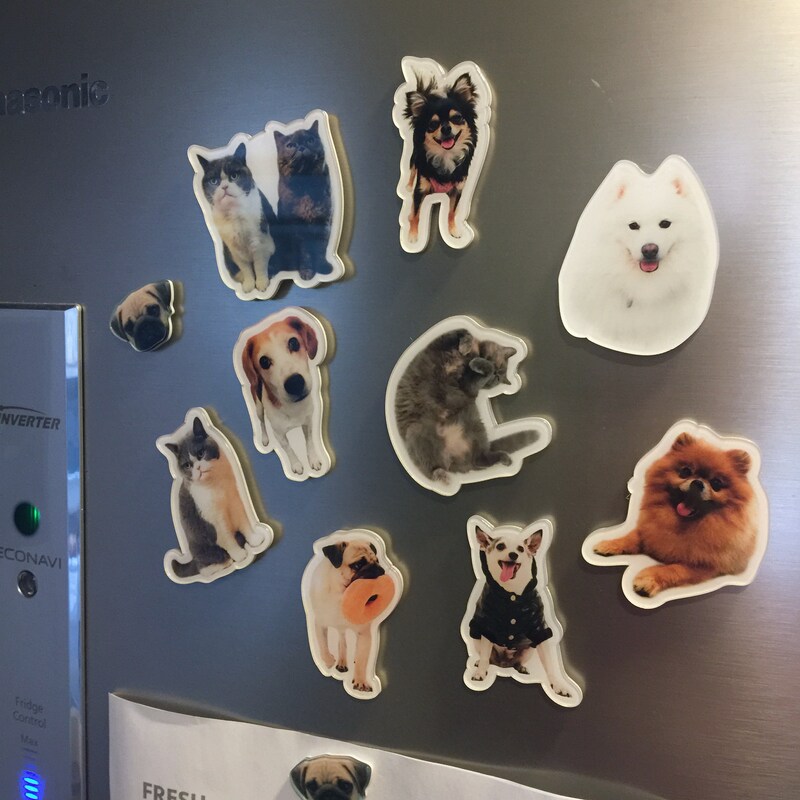 Dog Fridge Magnet Bobblehead - Cute Pet Gift