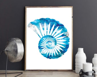 Shell