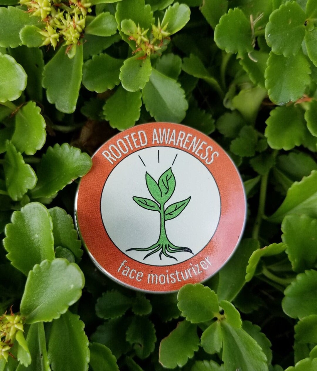 Vegan Face Cream for Sensitive Skin Face Moisturizer