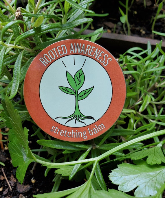 Gauge ear store stretching balm