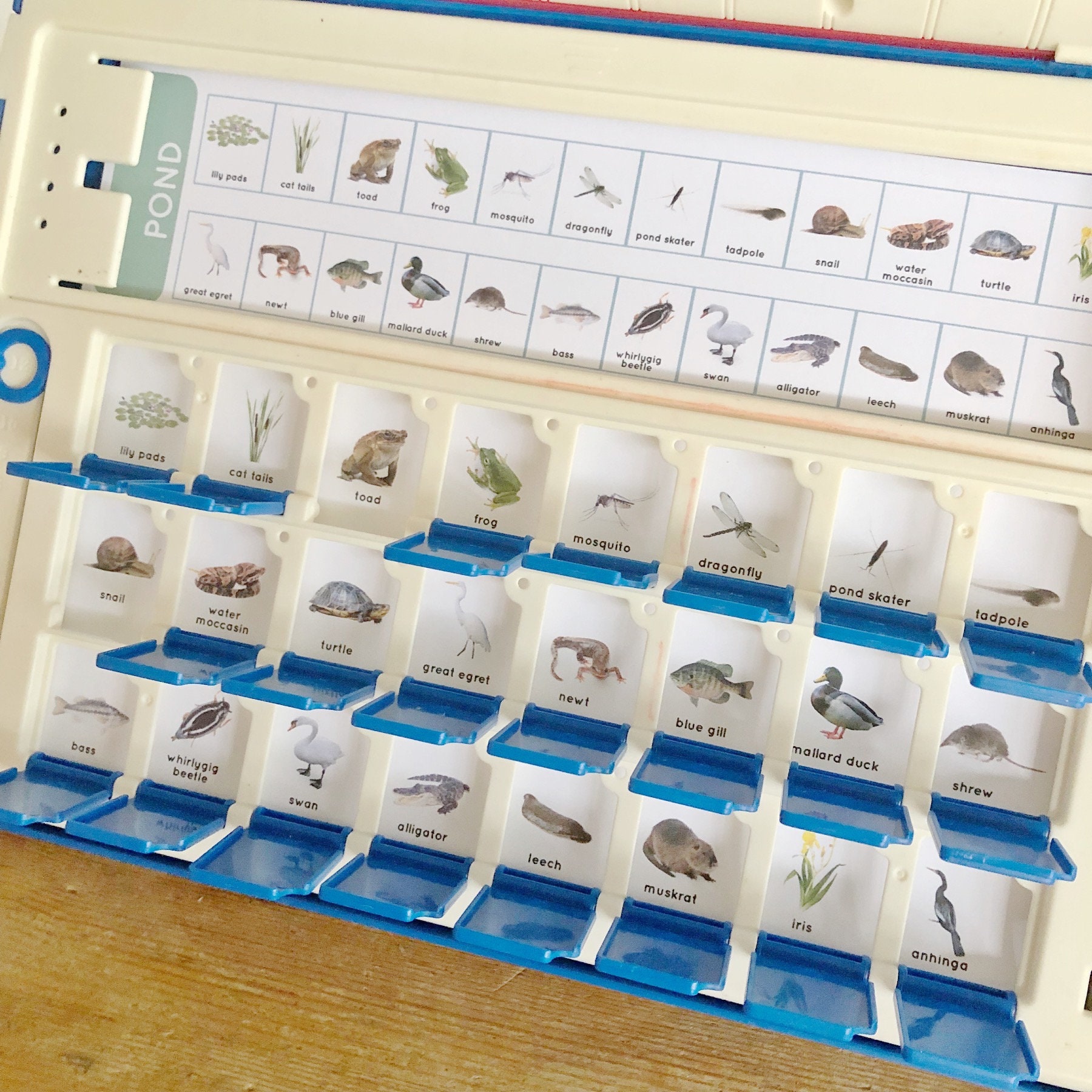 Electronic Guessing Game Printable Insert Cards Bundle - Etsy