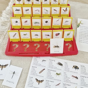 Juego de tarjetas de inserción para adivinar sobre insectos y bichos