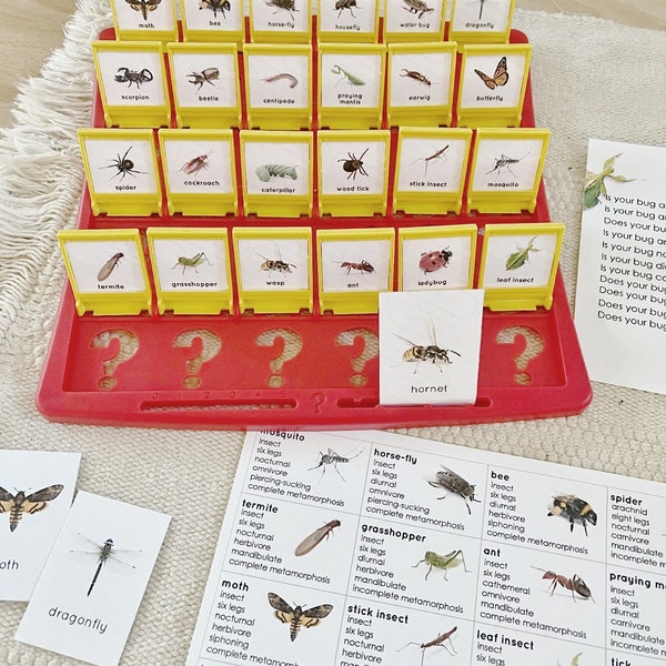 Bugs/ Insects Printable Guessing Game Insert Card Set