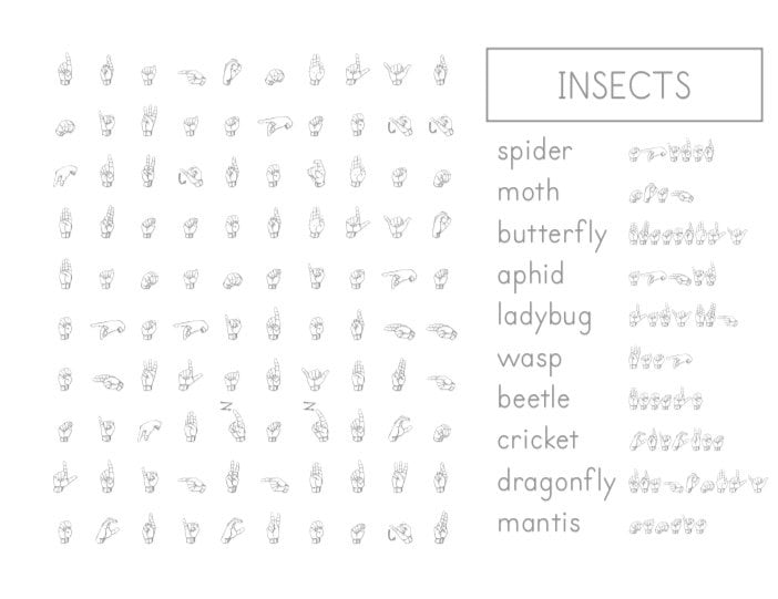 Printable ASL Fingerspell Word Search Set | Etsy
