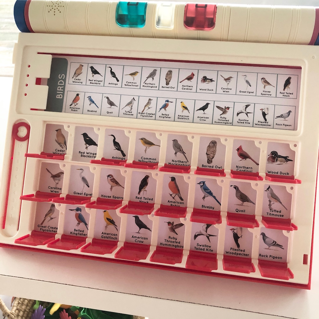Electronic Guessing Game Printable Insert Cards - Etsy Australia